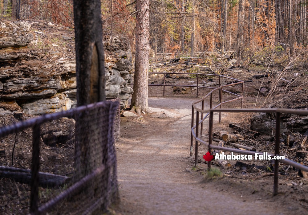 Athabasca Falls Hiking Pathways