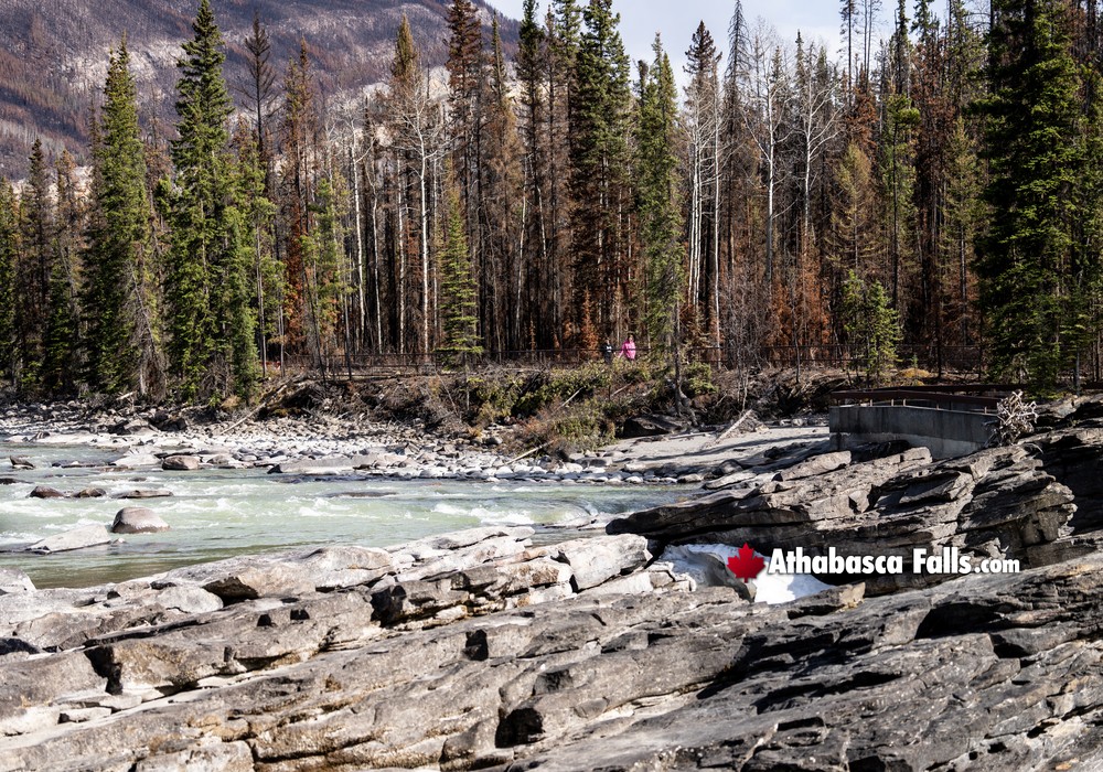 Breathtaking Views towards Athabasca Falls