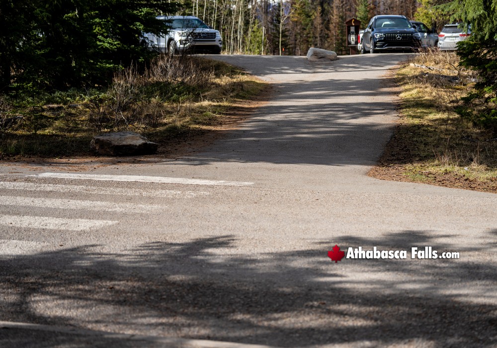 Athabasca Falls Parking Area