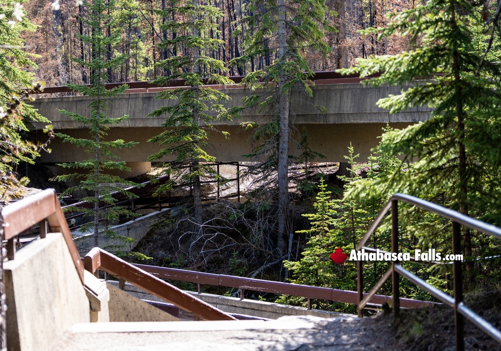Pathways above Athabasca Falls