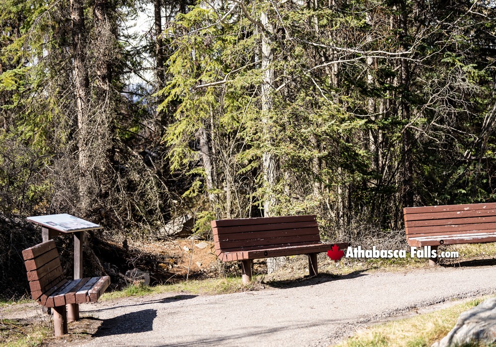 Athabasca Falls Rest Areas and Benches