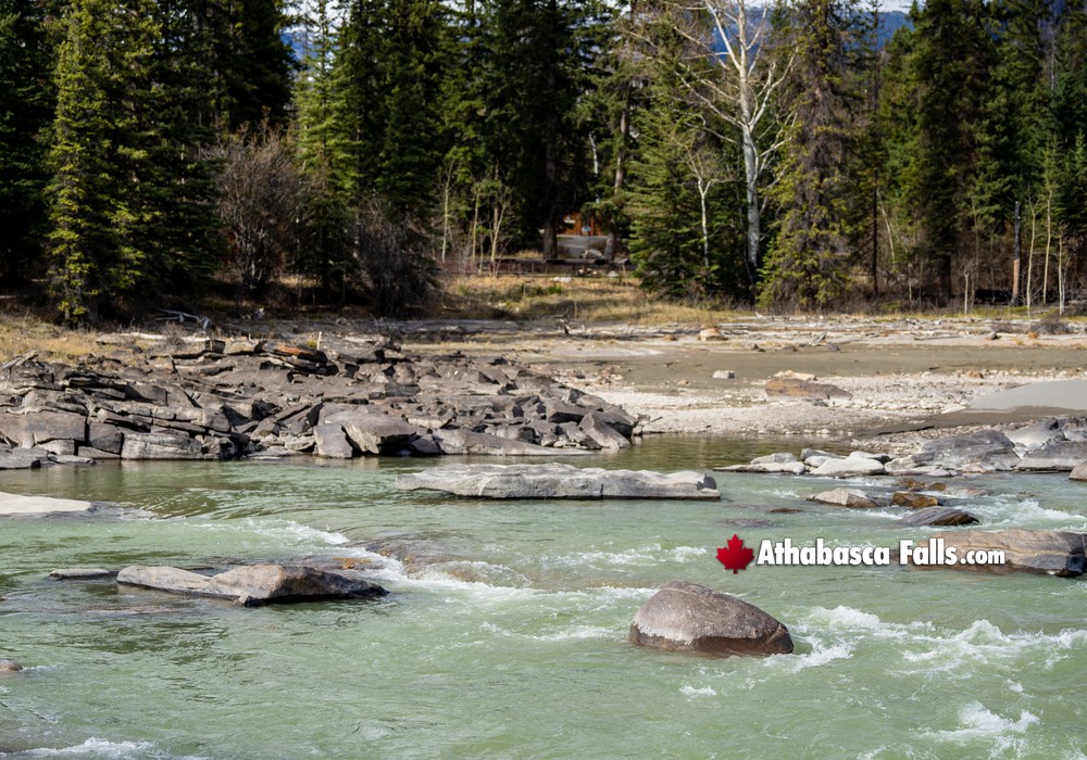 Athabasca River spreads wide before reaching Athabasca Falls