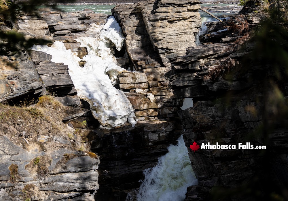 Lower Spring flow of Athabasca Falls