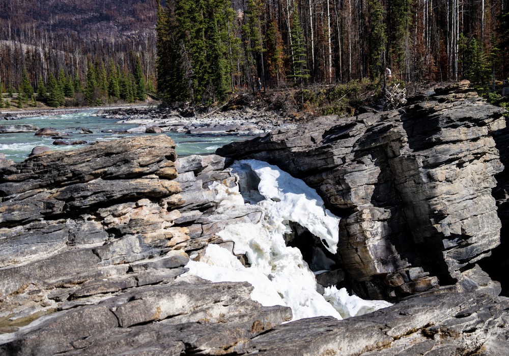 Upper Athabasca Falls in Spring