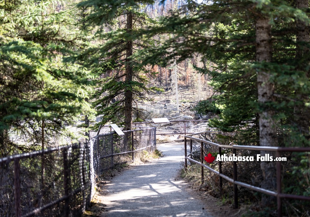Upper Walking Pathways at Athabasca Falls
