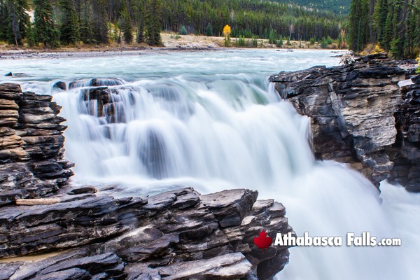 Athabasca Falls