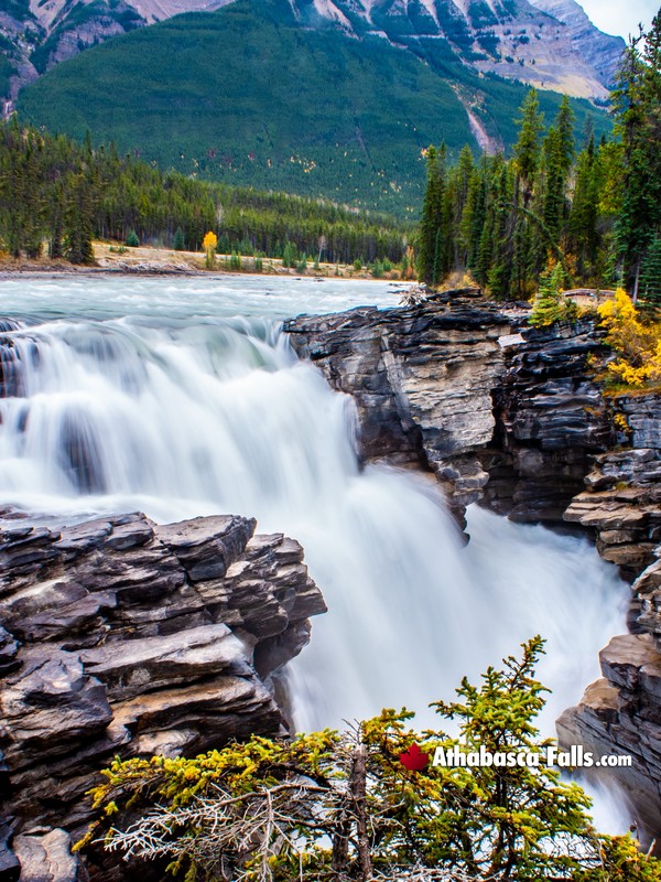 About Athabasca Falls
